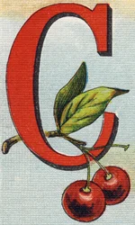 Letter C: kersen. Gravure in "Alphabet de ma petite fille". Bernardin-Bechet en Fils, boekverkopers-uitgevers, Parijs, rond 1895. Onbreekbaar album op canvas. Bibliotheque des Bebes. 12 pagina