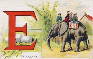Letter E: Olifant. Gravure in "ABC L