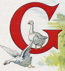 Letter G: Goede eenden. Gravure in "ABC L