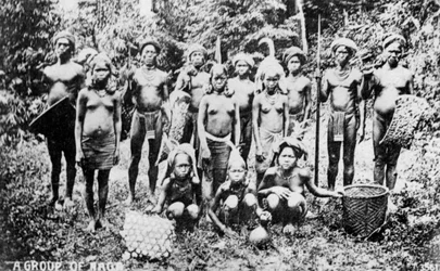 Naga-volk, India, 20e eeuw