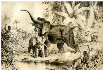Inboorlingen die een olifant spiesen, 1883