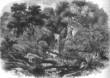 Nieuw-Zeelands landschap, ca. 1880