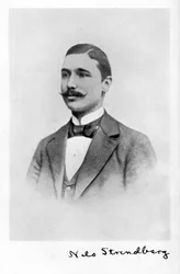 Nils Strindberg, 1872-1897, Zweedse fotograaf, 1931