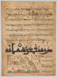 Over de Voordelen van Kwartels verso uit een Manafi al-Hayawan..., c. 1300