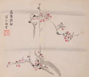 Pagina uit Shi Zhu Zhai