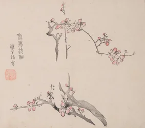 Pagina uit Shi Zhu Zhai