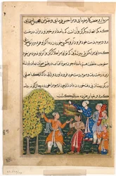 Pagina uit Verhalen van een Papegaai Tuti-nama: Negende nacht: De koning plukt fruit van de Boom..., ca. 156