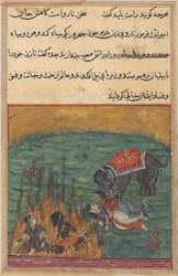 Pagina uit Verhalen van een Papegaai Tuti-nama: Tweeëntwintigste nacht: Als straf..., ca. 1560