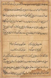 Pagina uit Verhalen van een Papegaai Tuti-nama: tekstpagina, ca. 1560