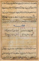 Pagina uit Verhalen van een Papegaai Tuti-nama: tekstpagina, ca. 1560