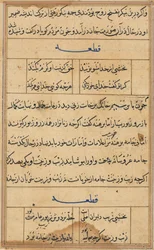 Pagina uit Verhalen van een Papegaai Tuti-nama: tekstpagina, c. 1560