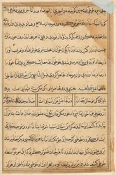 Pagina uit Verhalen van een papegaai Tuti-nama: tekstpagina, ca. 1560