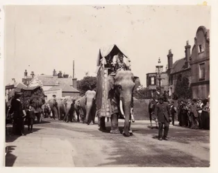 Parade van olifanten, ca. 1905