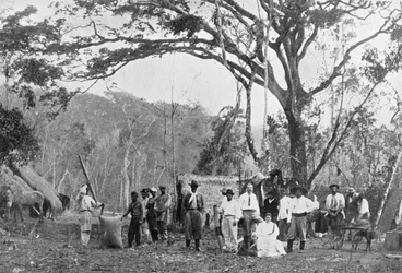 Paraguayaanse theeverzameling, Paraguay, 1911