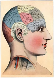 Frenologische kaart met veronderstelde activiteitsgebieden van de hersenen, ca. 1920