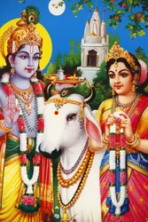 Afbeelding van hindoegoden Rada & Krishna India