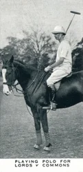 Polo spelen voor Lords v Commons, c1930