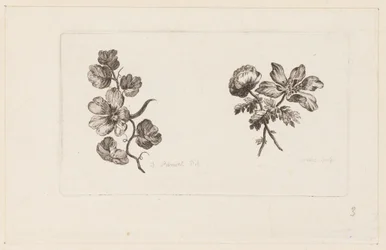 Print (Frankrijk)