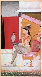 Punjabi illustratie van een dame met een havik