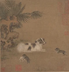 Puppy