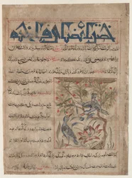 Eigenschappen van ringduiven recto, over de voordelen van kwartels verso..., ca. 1300