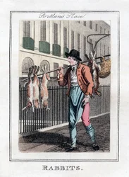 Konijnen, Portland Place, Londen, 1805