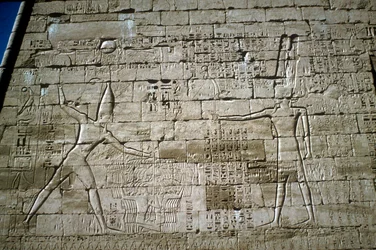 Reliëf van Ramses III die vijanden verslaat, Dodentempel van Ramses III, Medinat Habu