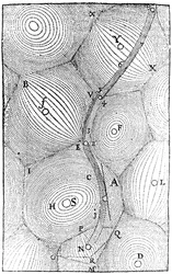 Rene Descartes model van de structuur van het universum