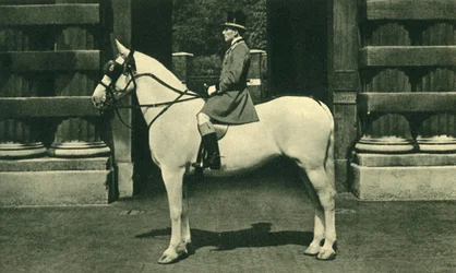 Koninklijke begeleider in scharlaken livrei, 1950s