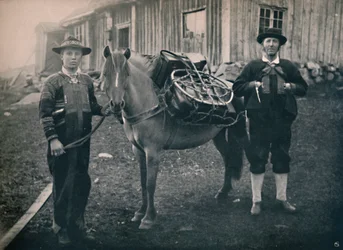 Saetersdalen Hooglanders met pakpaard, 1914