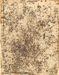 Sint Catharina