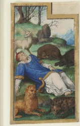 Sint Stefanus de Protomartelaar, 1525-1550