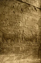 Saqqara - Graf van Ptahotep - Muurschildering, ca. 1918-ca. 1939