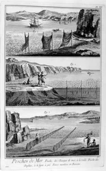 Zeevissen, 1751-1777