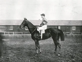 Wolkenkrabber, 1911
