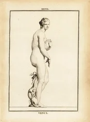 Beeld van Venus, Romeinse godin van liefde, schoonheid, seks en vruchtbaarheid