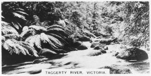 Taggerty River, Victoria, Australië
