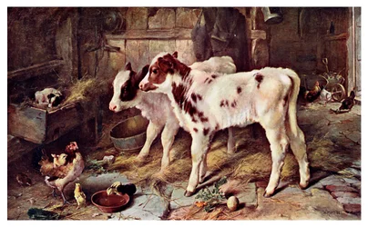 De hond in de kribbe, 1885 1901