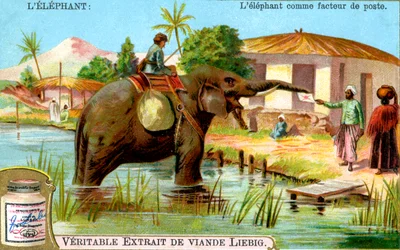 De olifant als postbode, ca. 1900