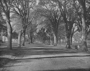 The Elms, New Haven, Connecticut, VS, c1900