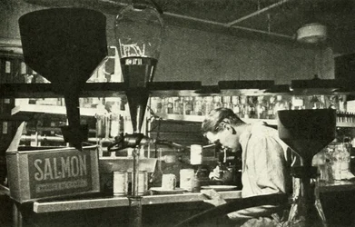 De grote zalmindustrie, ca. 1948