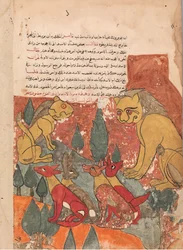 De leeuwin adviseert haar zoon, Folio uit een Kalila wa Dimna, 18e eeuw