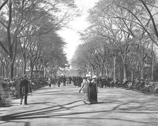 The Mall, Central Park, New York, VS, ca. 1900