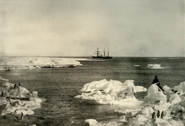 De Nimrod Voor Anker Bij De Pinguïnkolonie