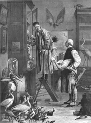 De Ornitholoog, midden-late 19e eeuw