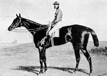 De Pretendent, c1870s, 1911
