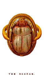 De scarabee, 1923