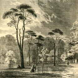 De Schotse Den, Kensington Gardens, ca. 1876