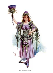 De Schotse distel, 1899