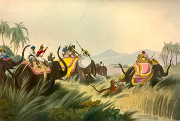 De Tijgerjacht, ca. 1808, 1901